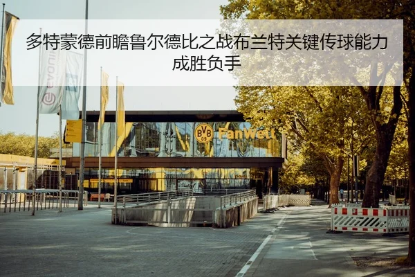 多特蒙德前瞻鲁尔德比之战布兰特关键传球能力成胜负手